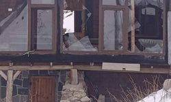 Ayılar kış uykusu nedir bilmiyor: Yayla evlerine saldırıyor