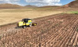 Tarımsal girdi fiyatları belli oldu