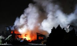 Japonya'daki 7.5'lik depremde yaralı sayısı 50'ye yükseldi