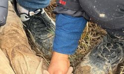 Dayısı tarafından dövülerek ölüme terkedildi