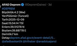 Tunceli’de 4.2 büyüklüğünde deprem