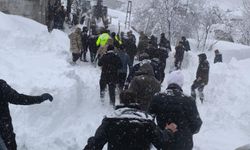 Van'da çığ düştü:1 kadın hayatını kaybetti