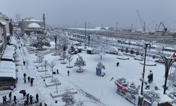 Giresun'da kar sonrası kartpostallık manzaralar ortaya çıktı