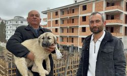 Baba oğul, çatıda ölümün eşiğindeki yavru köpeği kurtardı