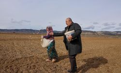 Dünyaca ünlü Taşköprü sarımsağının ekim sezonu erken başladı