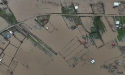 Tarım arazileri ve yerleşim yerleri sular altında kaldı