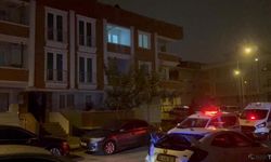 Yüksek sesle konuşan ablasını bıçaklayıp balkondan atladı