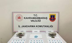 Kahramanmaraş'ta son bir haftada 31 tutuklama