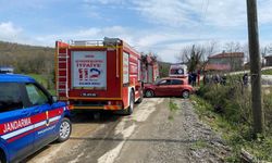 Kestiği ağaç canına mal oluyordu