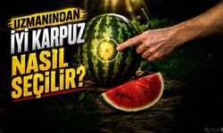 Artık kimse karpuza vurmuyor: İşte yeni yöntem