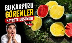 Bu karpuzu görenler hayrete düşüyor.