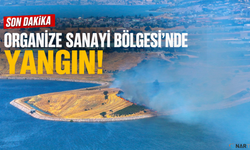 Kahramanmaraş'ta korkutan yangın.