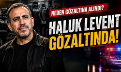 Haluk Levent neden gözaltına alındı?