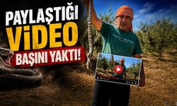 Bir video paylaştı... Fatura ağır kesildi!