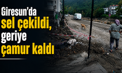 Giresun’da sel çekildi, geriye çamur kaldı