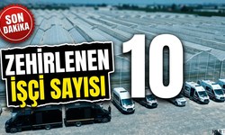 Domates serasında zehirlenme: 10 işçi hastanede