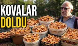Mantar bereketi: Kovayı alan ormanın yolunu tutuyor
