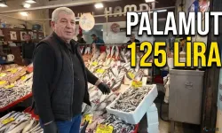 Balıkçıdan çağrı: “Bu sezon büyük fırsat”