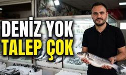 Balık pazarı hareketlendi.