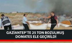 Gaziantep 'te 25 ton bozulmuş domates ele geçirildi