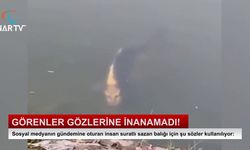 GÖRENLER GÖZLERİNE İNANAMADI!