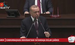 CUMHURBAŞKANI ERDOĞAN'DAN VATANDAŞA DOLAR ÇAĞRISI