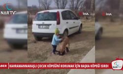 KAHRAMANMARAŞLI ÇOCUK KÖPEĞİNİ KORUMAK İÇİN BAŞKA KÖPEĞİ ISIRDI