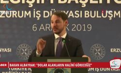 BAKAN ALBAYRAK: "DOLAR ALANLARIN HALİNİ GÖRECEĞİZ"