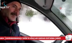 KAHRAMANMARAŞLI SAĞIR'IN AĞAÇLARI KARDAN KURTARMA ÇABASI