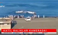 KATİL BALIKLAR KAMERADA! BALIKLAR BALIKÇILARA SALDIRDI!