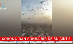 KORONA'DAN SONRA BİR DE BU ÇIKTI