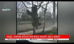 YAŞLI ADAM AĞAÇTAN BAŞ AŞAĞI SALLANDI!