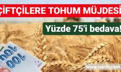 Bakan Bekir Pakdemirli'den çiftçilere tohum hibesi müjdesi! Yüzde 75'i bedava!