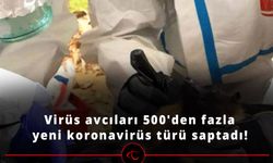 Virüs avcıları 500'den fazla yeni koronavirüs türü saptadı!