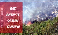 GAZİANTEP'TE ORMAN YANGINI!