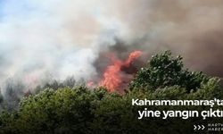 Kahramanmaraş'ta yine orman yangını!