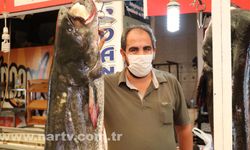 Kahramanmaraş'ta insan boyunda dev balık herkesi şaşkına çevirdi!