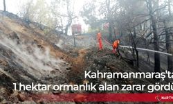 Kahramanmaraş'ta 1 hektar ormanlık alan zarar gördü