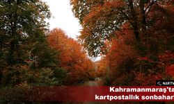Kahramanmaraş'ta kartpostallık sonbahar