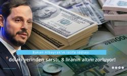 Bakan Albayrak'ın istifa iddiası doları yerinden sarstı, 8 liranın altını zorluyor!