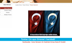 Türkler Çin aşısı Sinovac'ı hackledi!