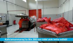 Kahramanmaraş'ta Bin 300 ton atık imha edildi!