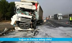 Kahramanmaraş'ta etkili olan sis kazayla sonuçlandı