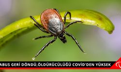 KABUS GERİ DÖNDÜ,ÖLDÜRÜCÜLÜĞÜ COVİD'DEN YÜKSEK