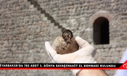 Diyarbakır'da 782 adet 1. Dünya Savaşına ait el bombası bulundu