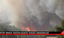 Büyük orman yangınlarının tamamı söndürüldü