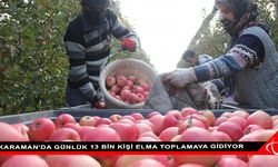 Karaman'da günlük 13 bin kişi elma toplamaya gidiyor