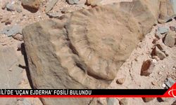Şili’de 'uçan ejderha' fosili bulundu