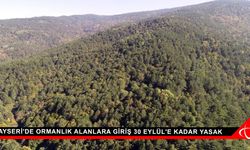 Kayseri'de ormanlık alanlara giriş 30 Eylül'e kadar yasak