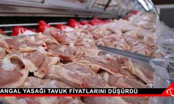 Mangal yasağı tavuk fiyatlarını düşürdü